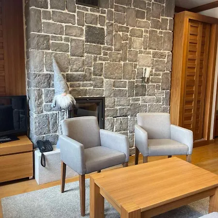 Apartment Apartman B610 Hotel Vucko Jahorina Jahorina